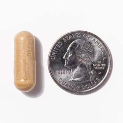 Switch Multivitamin (Iron Free)