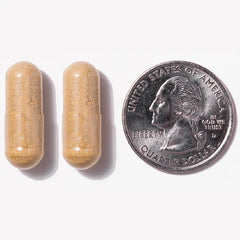 Prenatal Bariatric Multivitamin (1 month supply)